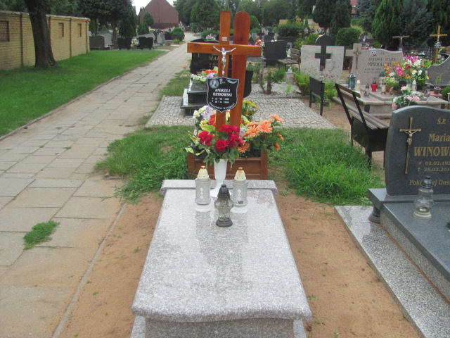 Grób Adam Ostrowski